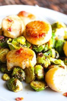 Best Scallop Dishes Recipes You Should Try