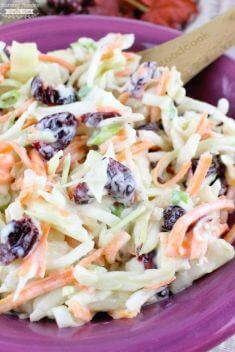 Apple Pear and Cranberry Coleslaw - Best Easy And Delicious Coleslaw Recipes That You Will Get Hooked