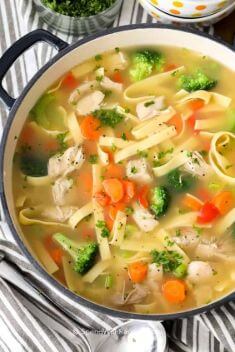 Chicken Noodle Soup 1 - 30 Easy And Delicious Vegetable Soup Recipes