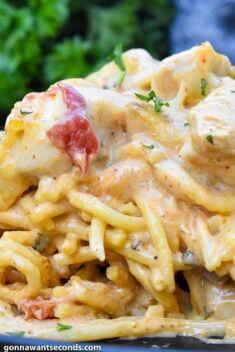 Chicken Spaghetti With Rotel - Crazy Good Spaghetti Recipes