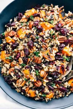 Cranberry Pecan Sweet Potato Wild Rice Pilaf - Collection of Best Delicious Rice Recipes