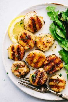 Grilled Lemon Garlic Scallops - Best Scallop Dishes Recipes You Should Try